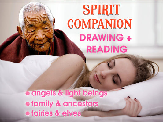 Who Is Your Spirit Companion? | Reading and Drawing of Your Spirit Ally | A Friendship Forged in Spirit