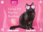 Channeling Any Pet Messages for Living Pets | Uncover Your Pet's Secrets Reading and Commissioned Art